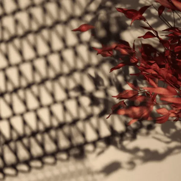 Metal mesh and its shadow shown for visual discussion of light and pattern